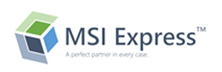 MSI Express