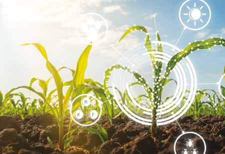 The Transformational Journey of Agriculture in Azucarera